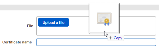 Rilascio di un file del certificato nell’area File