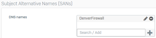Firewall's hostname as DNS name